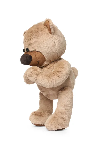 Cute Teddy Bear Isolated White Child Toy — Stock Photo, Image