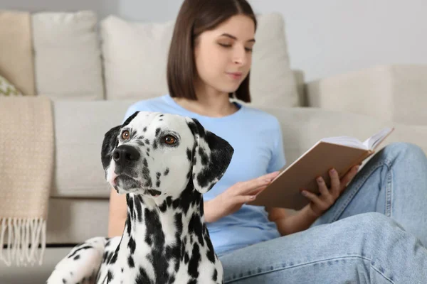 Mooie Vrouw Die Boek Leest Haar Schattige Dalmatische Hond Vloer — Stockfoto