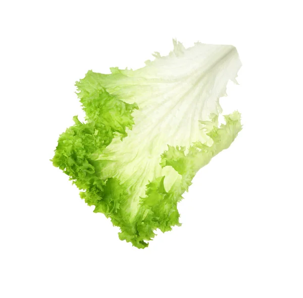 Friss Zöld Saláta Levél Elszigetelt Fehér — Stock Fotó