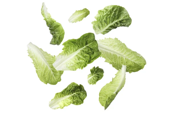 Frische Römische Salatblätter Fallen Auf Weißem Hintergrund — Stockfoto