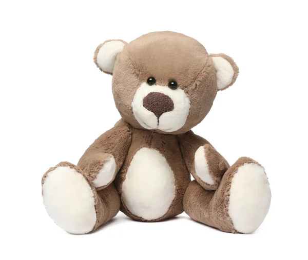 Urso Pelúcia Bonito Isolado Branco Brinquedo Criança — Fotografia de Stock