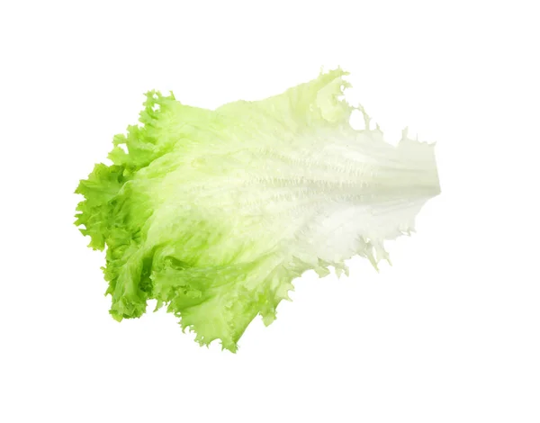 Frisches Grünes Salatblatt Isoliert Auf Weiß — Stockfoto