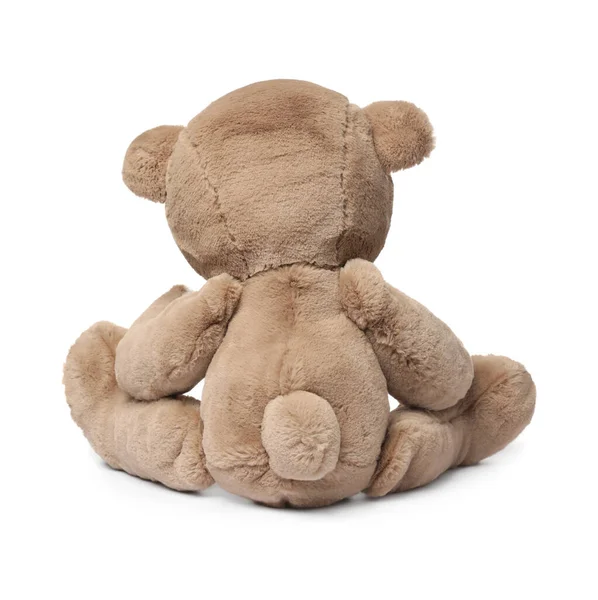 Cute Teddy Bear Isolated White Back View Stock Photo