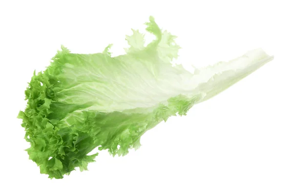 Frisches Grünes Salatblatt Isoliert Auf Weiß — Stockfoto