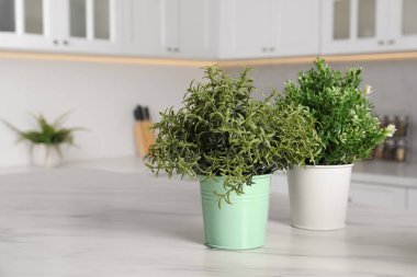 Mutfaktaki beyaz mermer masada yapay saksı bitkileri, metin için yer. Ev dekoru