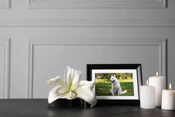 Pet funeral. Frame with picture of dog, burning candles and lily flower on black table. Space for text