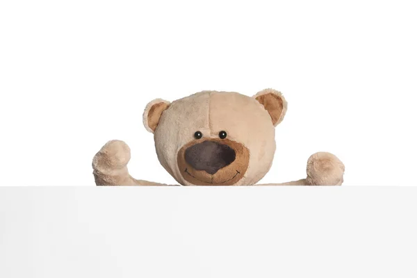 Leuke Teddybeer Met Blanco Kaart Witte Achtergrond — Stockfoto