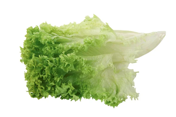Čerstvé Listy Zeleného Salátu Izolované Bílém — Stock fotografie
