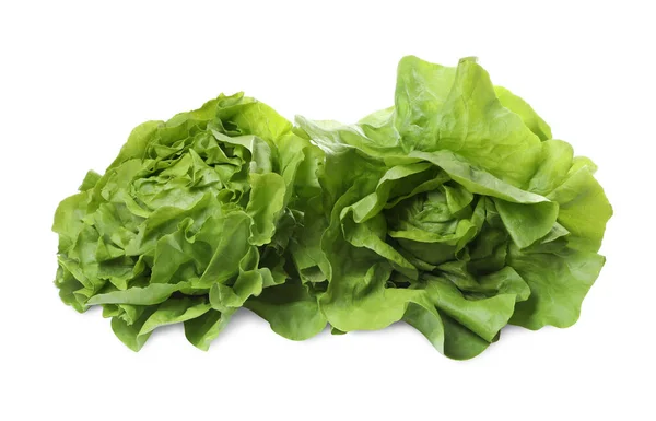 Fehér Alapon Izolált Friss Zöld Vajas Salátafej — Stock Fotó