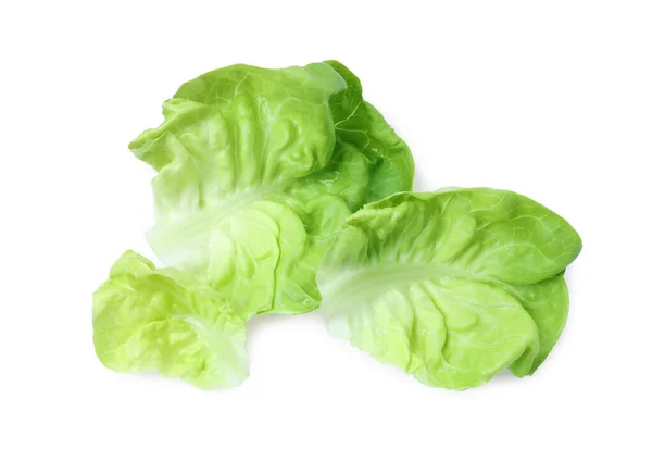 新鲜的绿色奶油生菜叶子被隔离在白色的顶部视图 — 图库照片