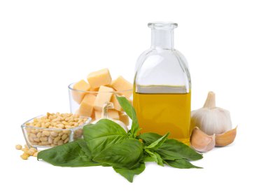 Beyaz üzerine izole edilmiş lezzetli pesto sosu pişirmek için farklı malzemeler.