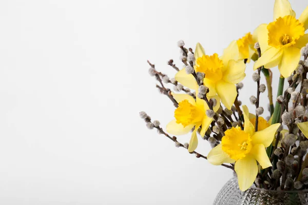 Güzel Sarı Nergis Buketi Vazoda Söğüt Dalları Beyaz Arka Planda — Stok fotoğraf