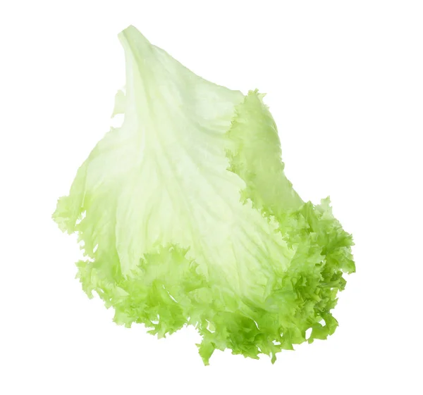 Fresh Green Lettuce Leaf Isolated White — Stock Photo, Image
