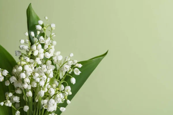 Stock image Beautiful lily of the valley flowers with leaves on light green background, closeup. Space for text