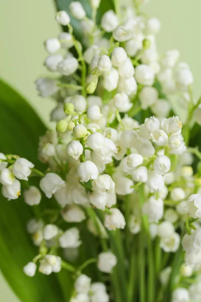 stock image Beautiful lily of the valley flowers on light green background, closeup