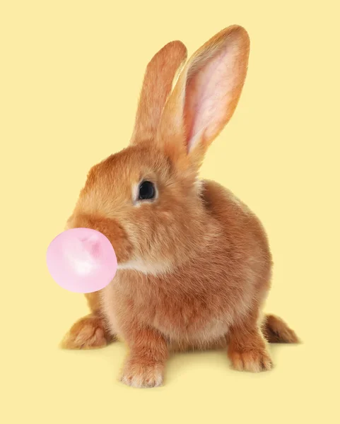 Cute Bunny Bubble Chewing Gum Pale Yellow Background — Stock Photo, Image