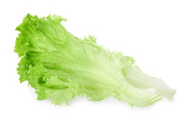 Taze yeşil marul yaprakları beyaza izole edilmiş.