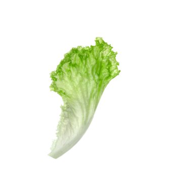 Beyaza izole edilmiş bir yeşil marul yaprağı. Salata yeşili.