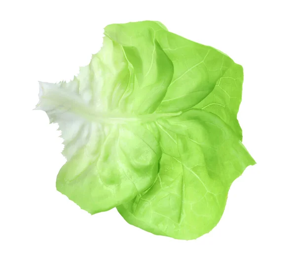 Hoja Fresca Lechuga Mantequilla Verde Aislada Sobre Blanco —  Fotos de Stock