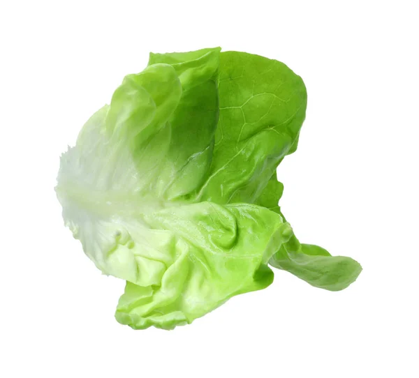Frisches Blatt Von Grünem Buttersalat Isoliert Auf Weiß — Stockfoto