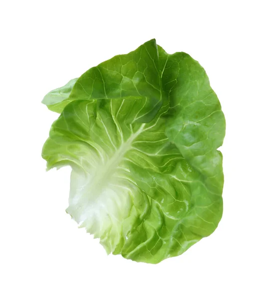 Frisches Grünes Buttersalatblatt Isoliert Auf Weiß — Stockfoto
