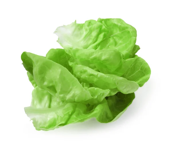 新鲜的绿色奶油生菜叶子在白色上被隔离 — 图库照片