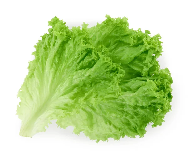 Ein Grünes Salatblatt Isoliert Auf Weiß Salatgemüse — Stockfoto