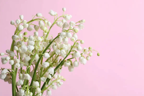 stock image Beautiful lily of the valley flowers on pink background, closeup. Space for text