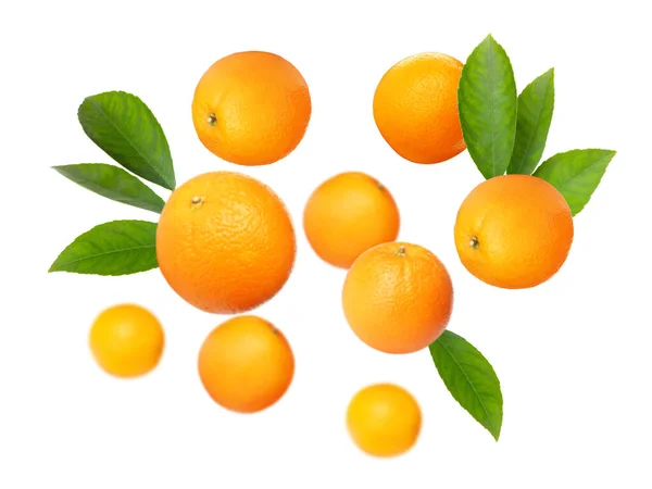 緑の葉が白い背景に飛んでいる熟したオレンジ — ストック写真