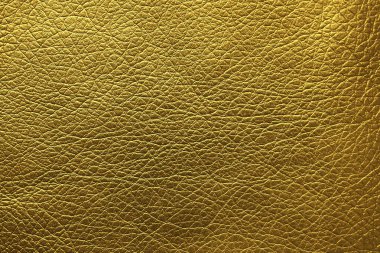 Arka plan olarak parlak altın yüzey görünümünü portre