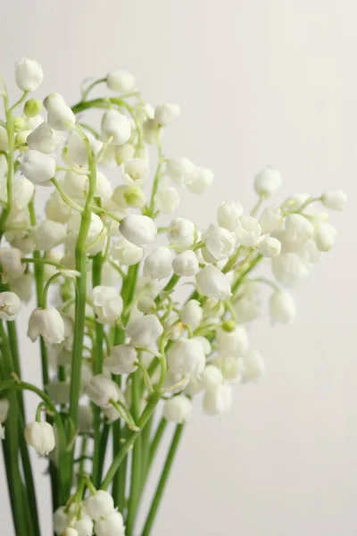 Gyönyörű Liliom Völgy Virágok Világosszürke Háttér Közelkép — Stock Fotó