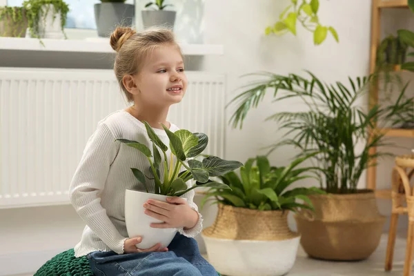 Aranyos Kislány Gyönyörű Zöld Növényt Tart Otthon Lakberendezés — Stock Fotó
