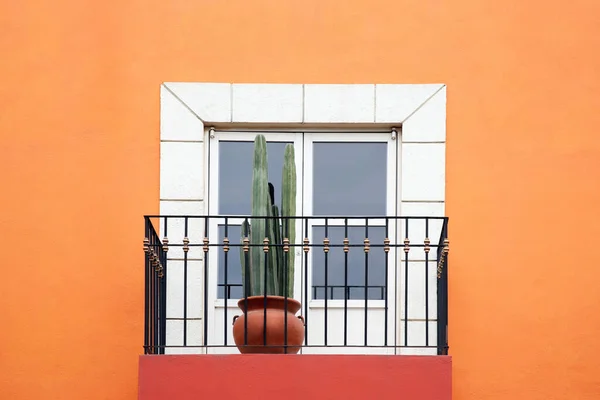 stock image Orange building with white window and potted plant on small balcony