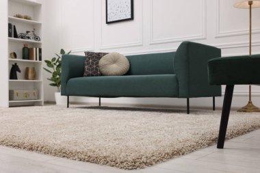 Yumuşak bej halısı ve mobilyası olan şık bir oturma odası. İç tasarım