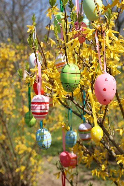 Beautifully Painted Easter Eggs Hanging Tree Outdoors Closeup — Stock Photo, Image