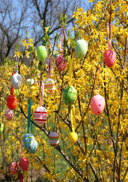 Huevos Pascua Bellamente Pintados Colgando Árbol Aire Libre — Foto de Stock