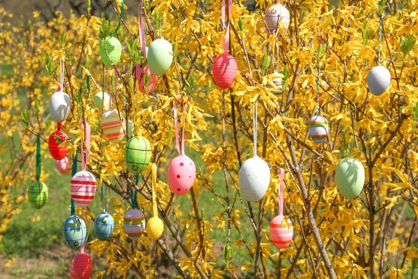 Красиво Раскрашенные Пасхальные Яйца Висящие Дереве — стоковое фото
