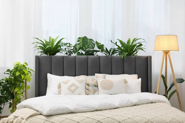 Большая Удобная Кровать Лампа Красивые Домашние Растения Спальне Дизайн Интерьера — стоковое фото
