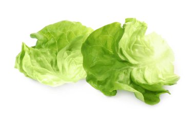 Beyaz üzerine izole edilmiş taze yeşil marul yaprakları.