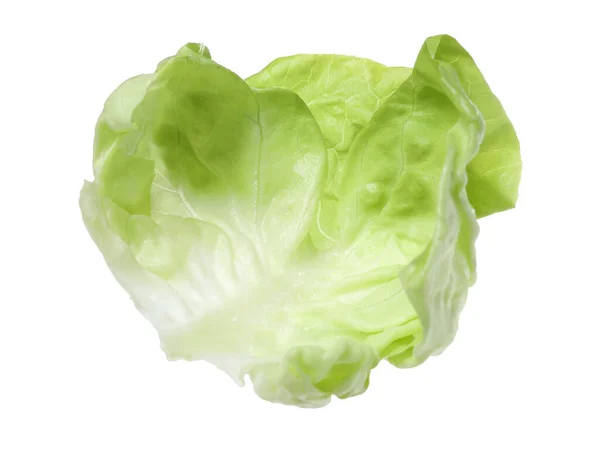 Čerstvý List Zeleného Salátu Másla Izolovaný Bílém — Stock fotografie