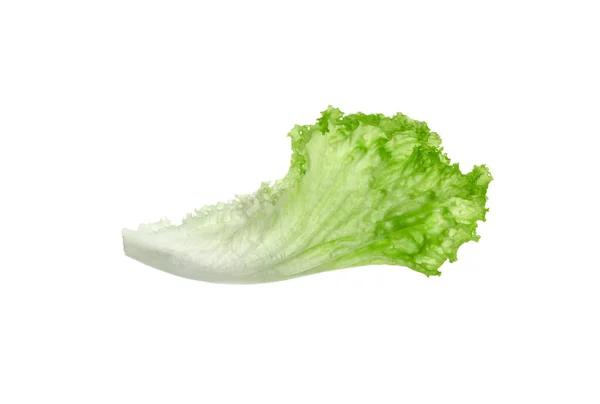 Один Зелений Лист Салату Ізольований Білому Салат Зелень — стокове фото