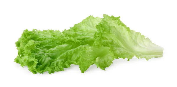 Egy Zöld Salátalevél Fehér Alapon Salátazöldség — Stock Fotó