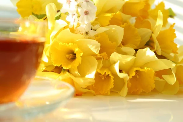 Żółte Żonkile Piękne Białe Kwiaty Śliwki Stole Zbliżenie — Zdjęcie stockowe