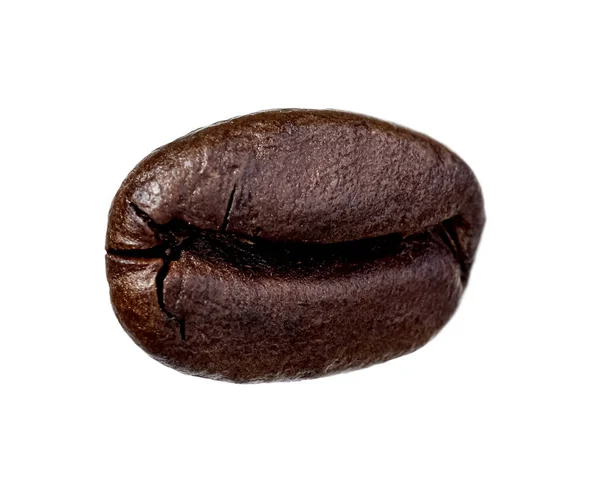 커피콩 하나를흰 놓는다 — 스톡 사진