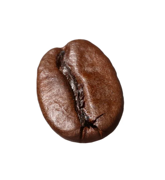 白で隔離された香り高い焙煎コーヒー豆一つ — ストック写真