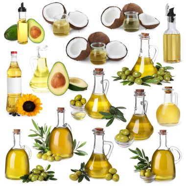 Ayçiçeği, avokado, hindistan cevizi ve zeytinyağlı kolaj beyaz üzerine izole