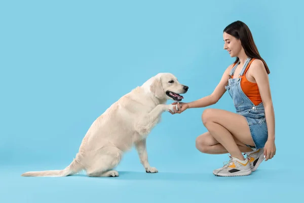 Netter Labrador Retriever Hund Der Frau Pfote Auf Hellblauem Hintergrund — Stockfoto