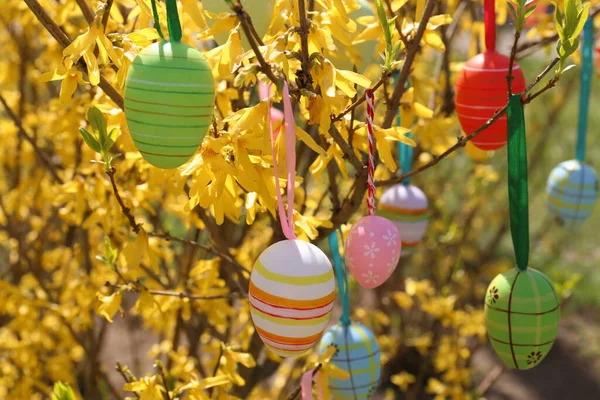 Huevos Pascua Bellamente Pintados Colgando Árbol Aire Libre Primer Plano — Foto de Stock