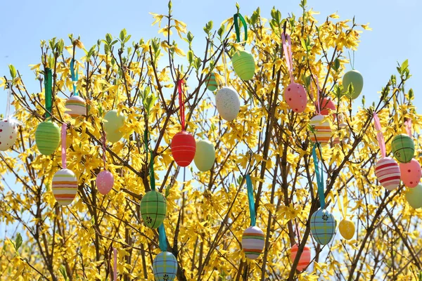 Huevos Pascua Bellamente Pintados Colgando Árbol Aire Libre — Foto de Stock