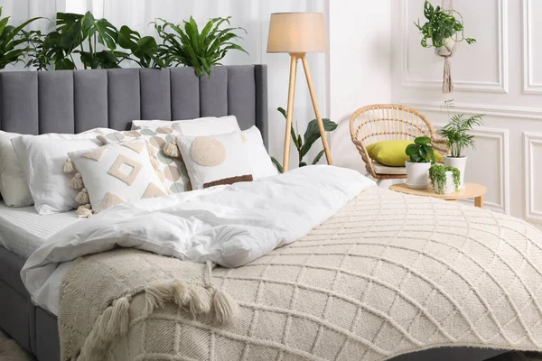 舒适的床 柳条扶手椅 灯和漂亮的室内植物 卧室内部 — 图库照片